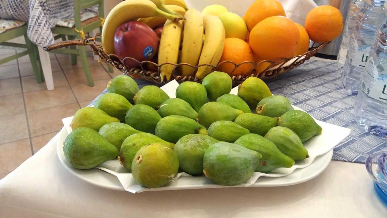 Alojamento de Acomodação e Pequeno-almoço Bruna